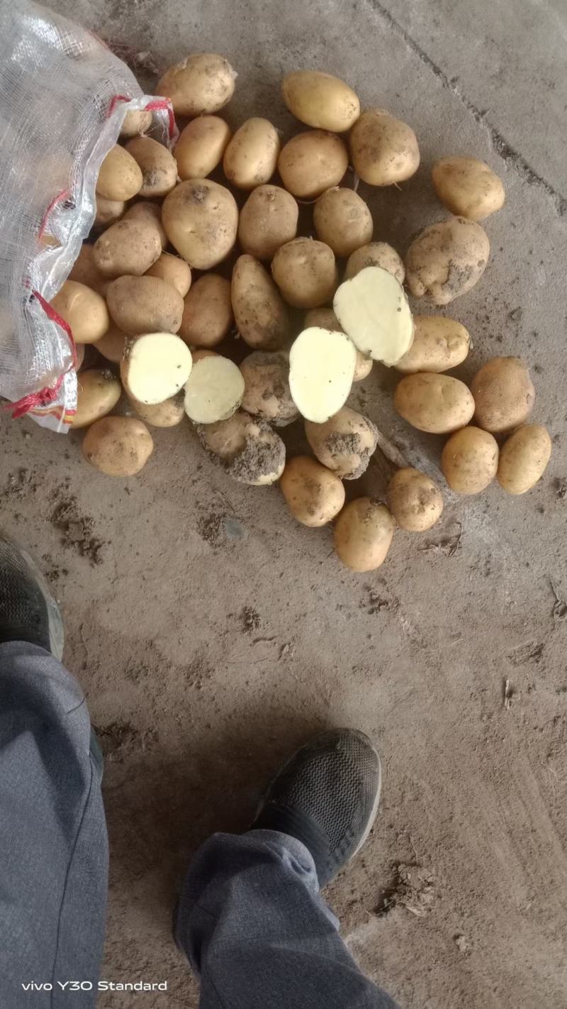 大量供1一3，现加工，现发货，2一4，2一5，2一7，8