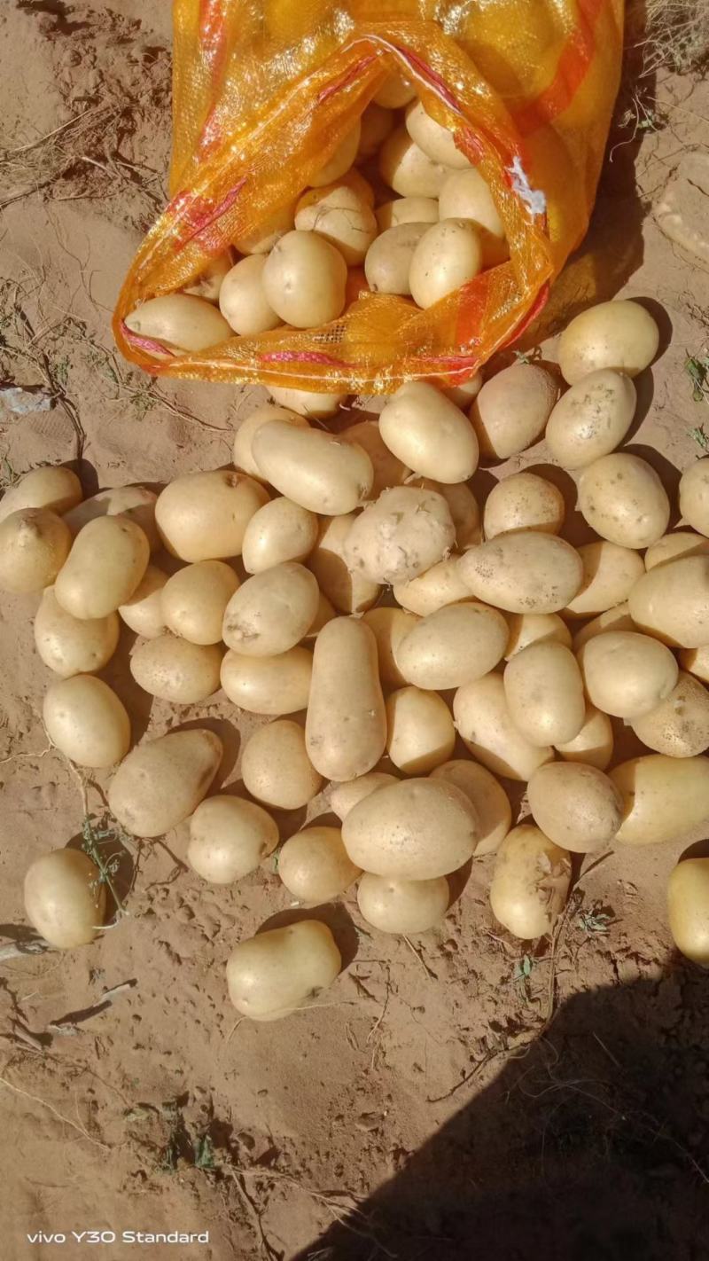大量供1一3，现加工，现发货，2一4，2一5，2一7，8