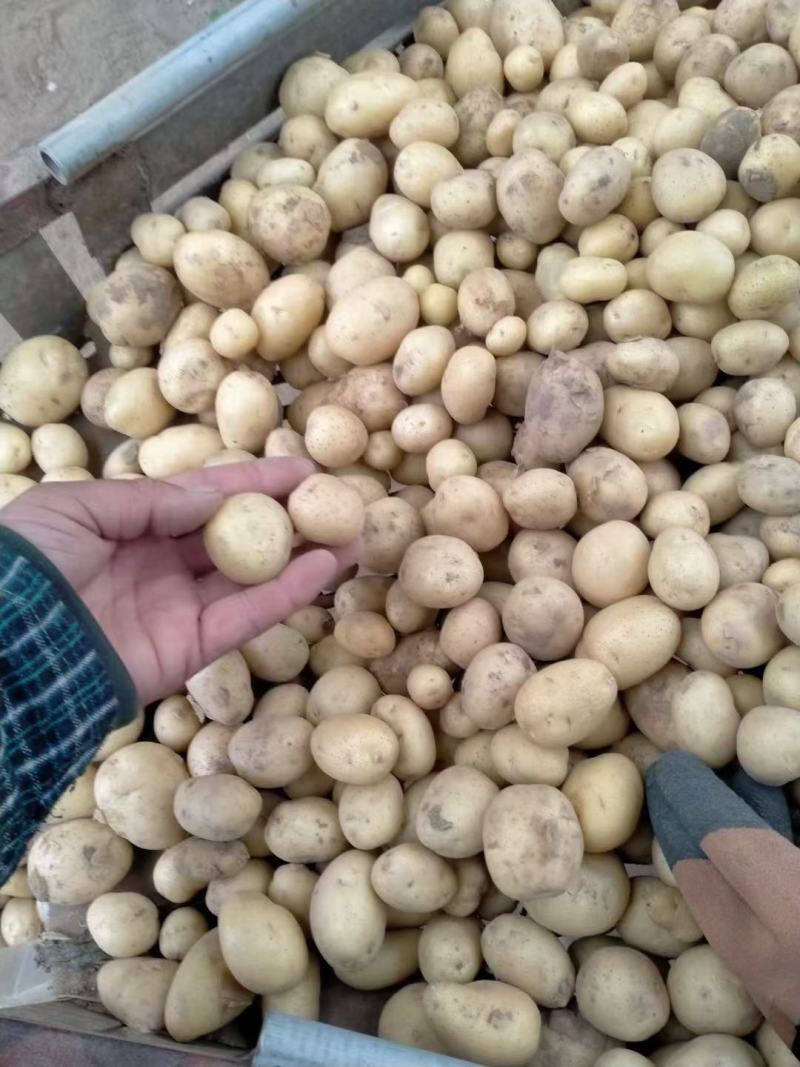 大量供1一3，现加工，现发货，2一4，2一5，2一7，8