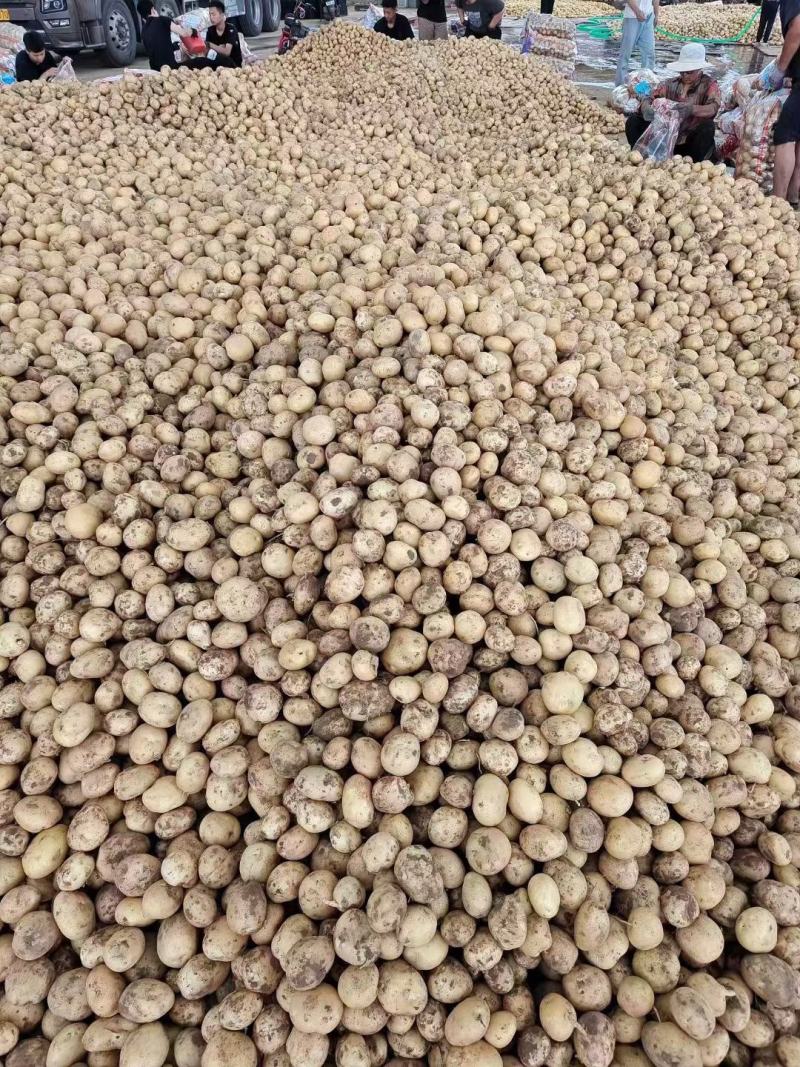 大量供1一3，现加工，现发货，2一4，2一5，2一7，8