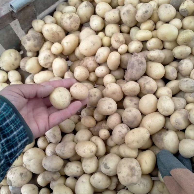 大量供1一3，现加工，现发货，2一4，2一5，2一7，8