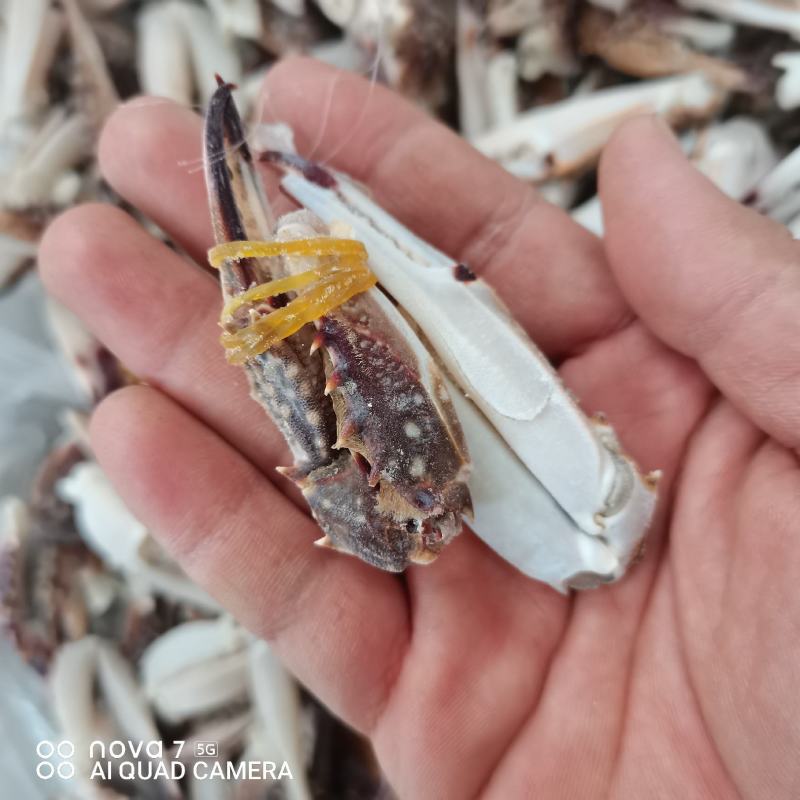 小蟹钳一斤40到45只，肉质饱满