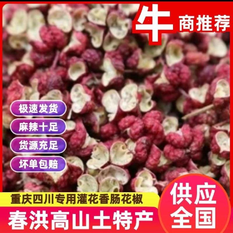 大红袍花椒大量上市欢迎新老客户前来合作，量大从优物美价廉