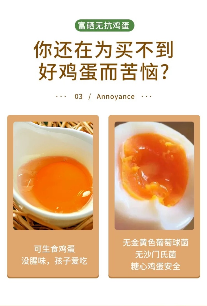 富硒无抗可生食无腥味鸡蛋初生蛋360枚/件包邮珍珠鸡鸡蛋