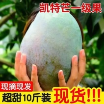 包邮【巨无霸】攀枝花凯特芒果特大10斤批发大芒果新鲜青芒