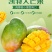 包邮【巨无霸】攀枝花凯特芒果特大10斤批发大芒果新鲜青芒