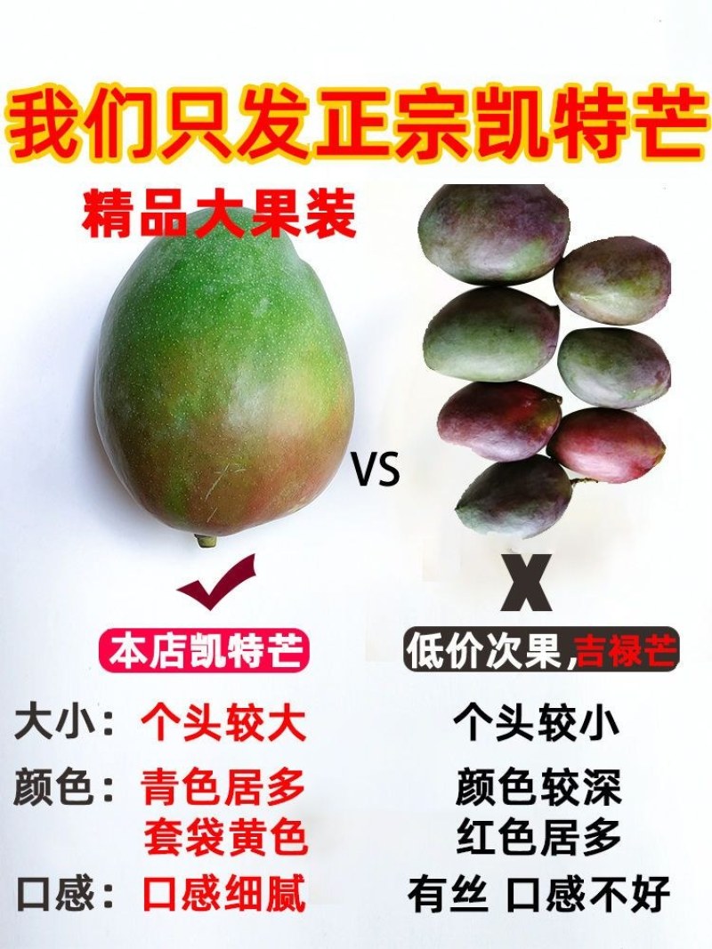 包邮【巨无霸】攀枝花凯特芒果特大10斤批发大芒果新鲜青芒