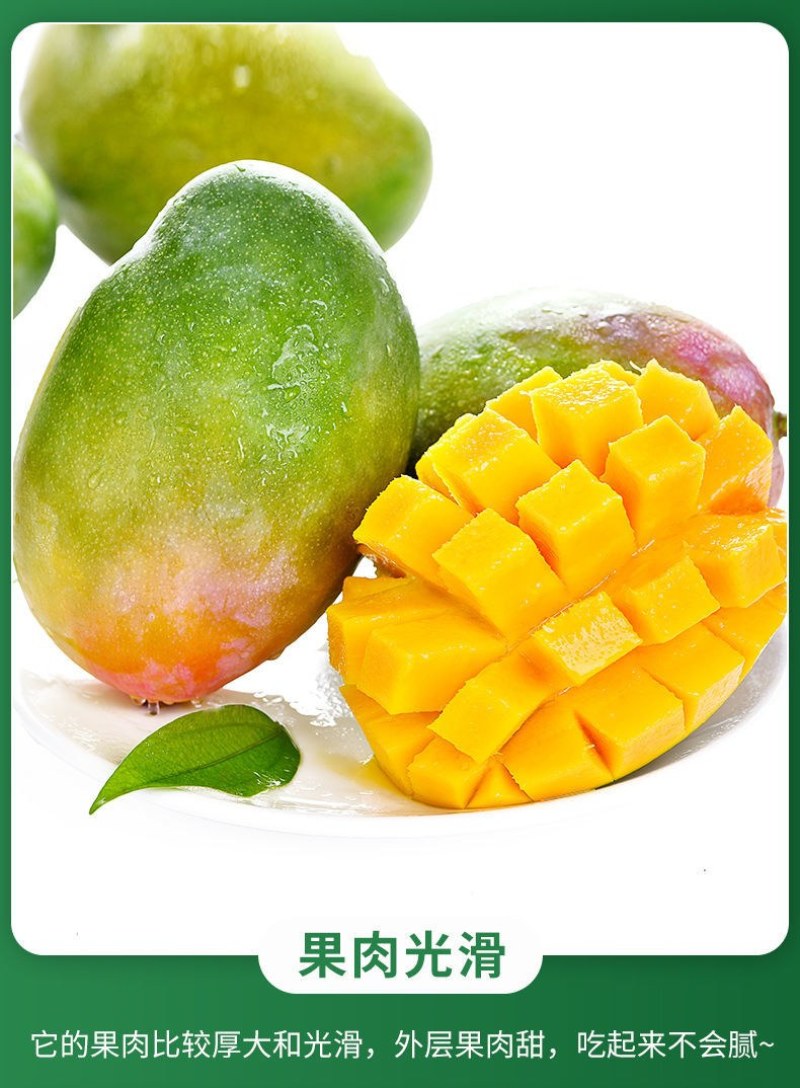 包邮【巨无霸】攀枝花凯特芒果特大10斤批发大芒果新鲜青芒