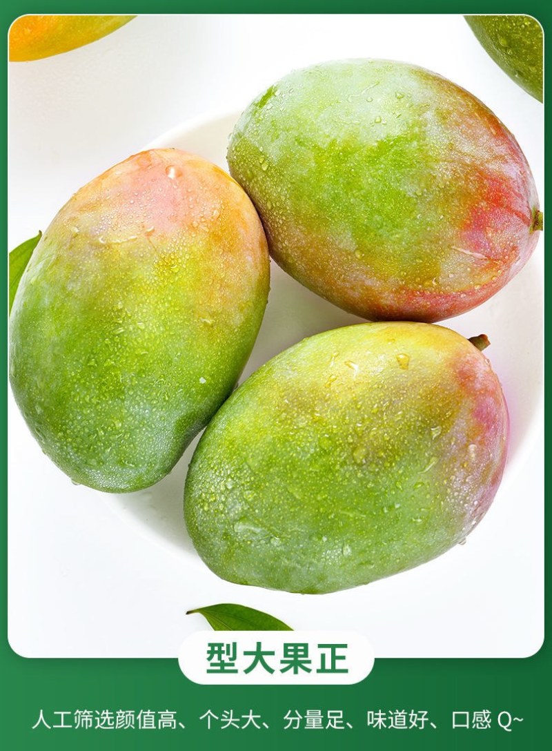包邮【巨无霸】攀枝花凯特芒果特大10斤批发大芒果新鲜青芒