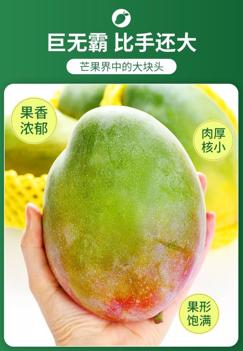 包邮【巨无霸】攀枝花凯特芒果特大10斤批发大芒果新鲜青芒