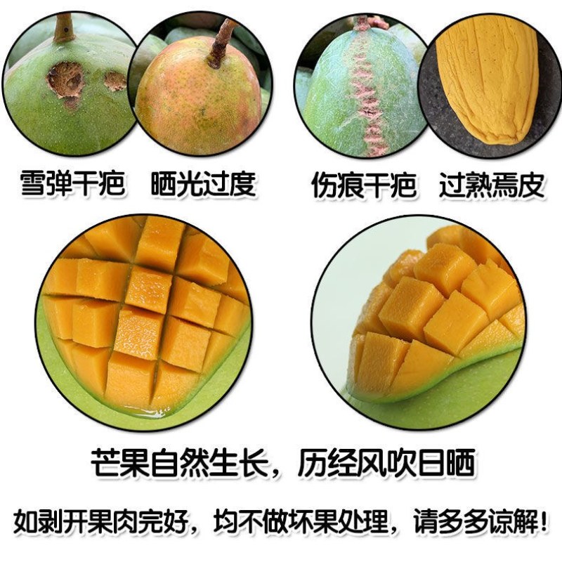 包邮【巨无霸】攀枝花凯特芒果特大10斤批发大芒果新鲜青芒
