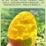 包邮【巨无霸】攀枝花凯特芒果特大10斤批发大芒果新鲜青芒