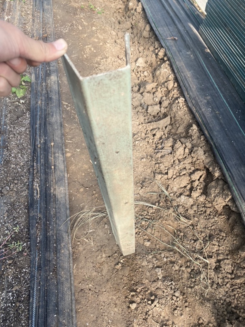 草莓育苗槽穴盘整体出草莓槽草莓育苗基质槽