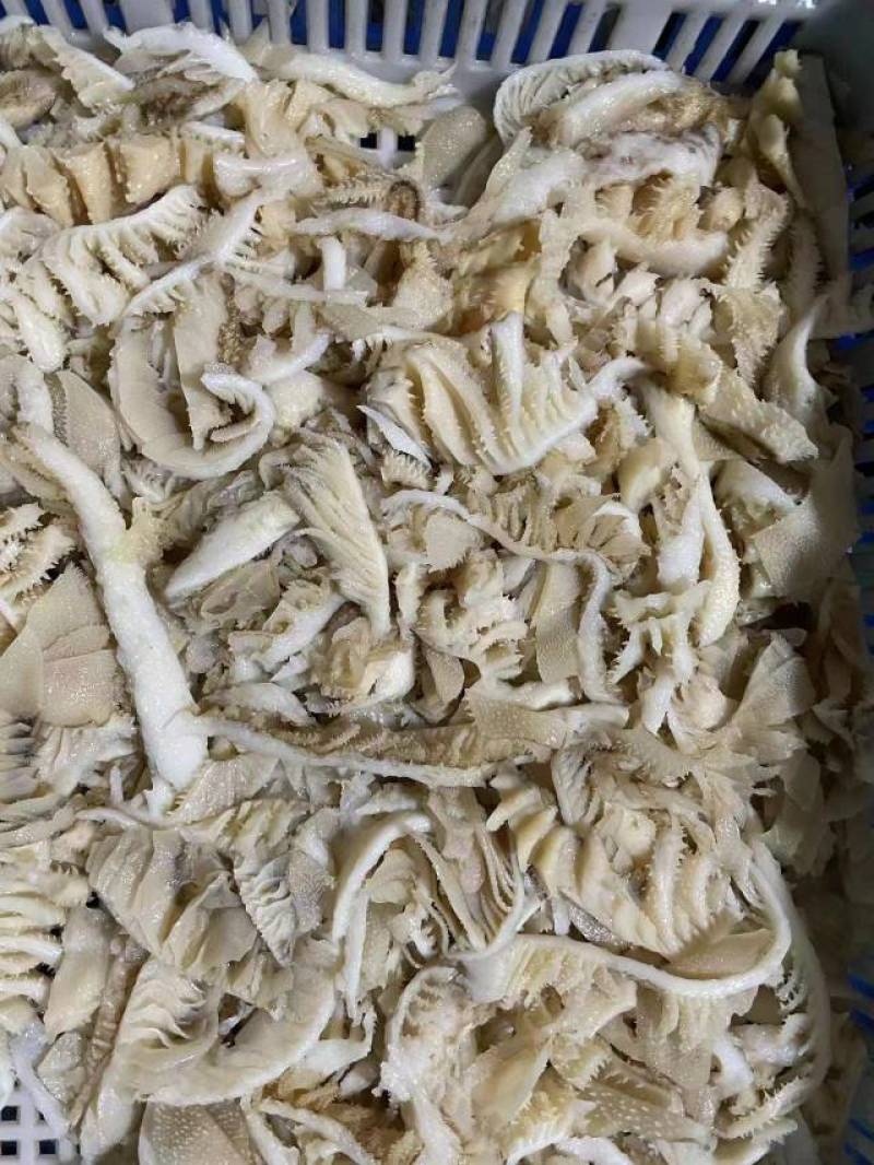 毛肚，碎牛白叶，适合自助火锅