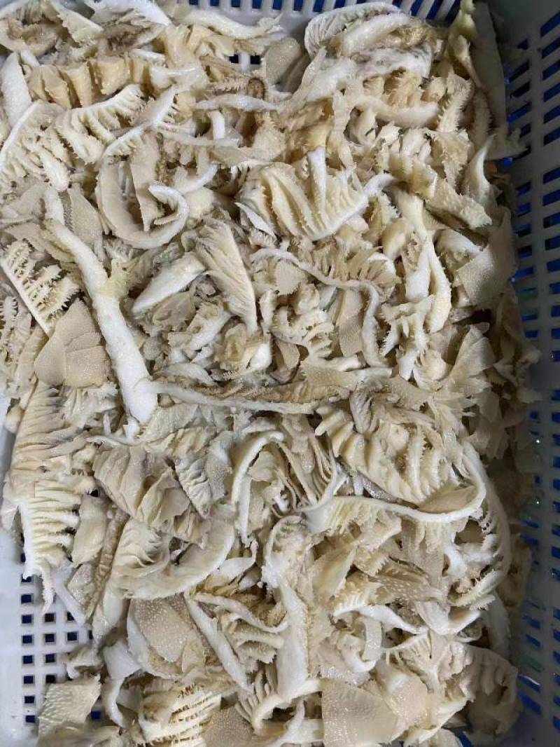 毛肚，碎牛白叶，适合自助火锅