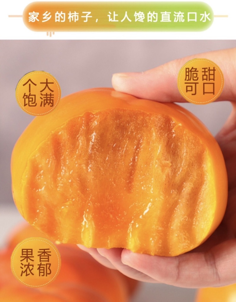（一件代发）阳丰巧克力脆甜柿子，支持团购、电商平台……