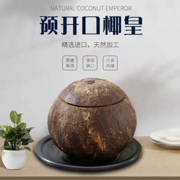 常年批发椰皇热带新鲜特产应季去皮大椰子椰皇椰盅炖盅老椰