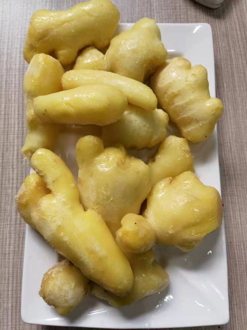 小葱，姜，香菇，番茄，青刀豆，芸豆，菠菜20年加工。