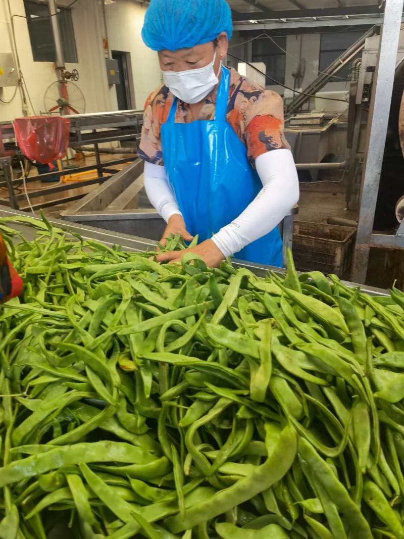 小葱，姜，香菇，番茄，青刀豆，芸豆，菠菜20年加工。