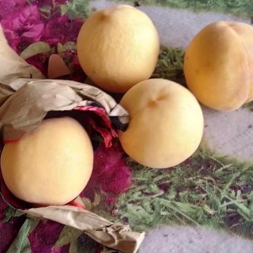 黄桃，还有两万斤，然胡，又甜又脆的黄桃，又要的客户可以联