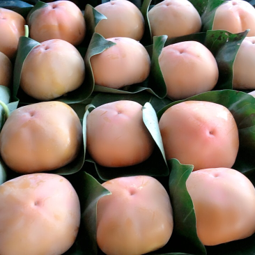 精品脆柿，货源充足