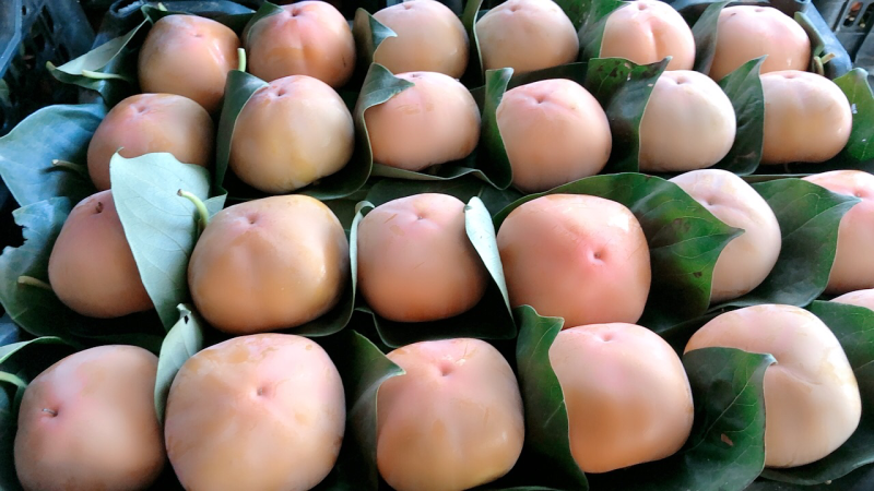 精品脆柿，货源充足