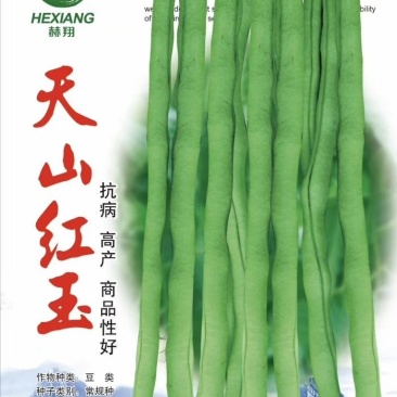 杜绝假货豆角种子芸豆种子架豆王种子无筋豆菜籽蔬菜种子