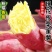 陕西虢王日30吨板栗红薯集中上市价格低欢迎对接采购