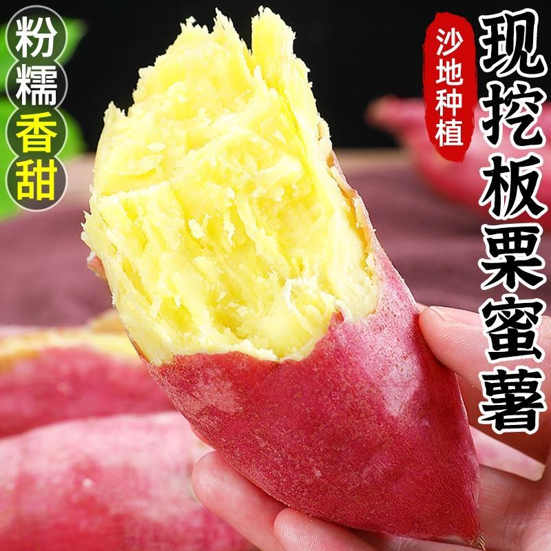 陕西虢王日30吨板栗红薯集中上市价格低欢迎对接采购