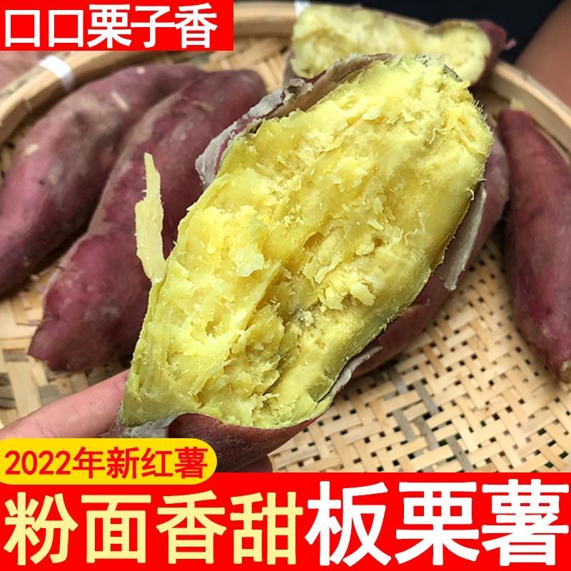 陕西虢王日30吨板栗红薯集中上市价格低欢迎对接采购