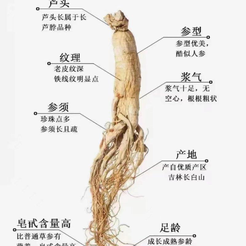 东北特产干货产品品质好