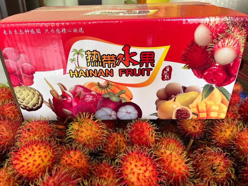 保亭红毛丹7号果毛荔枝海南热带水果一件代发礼盒