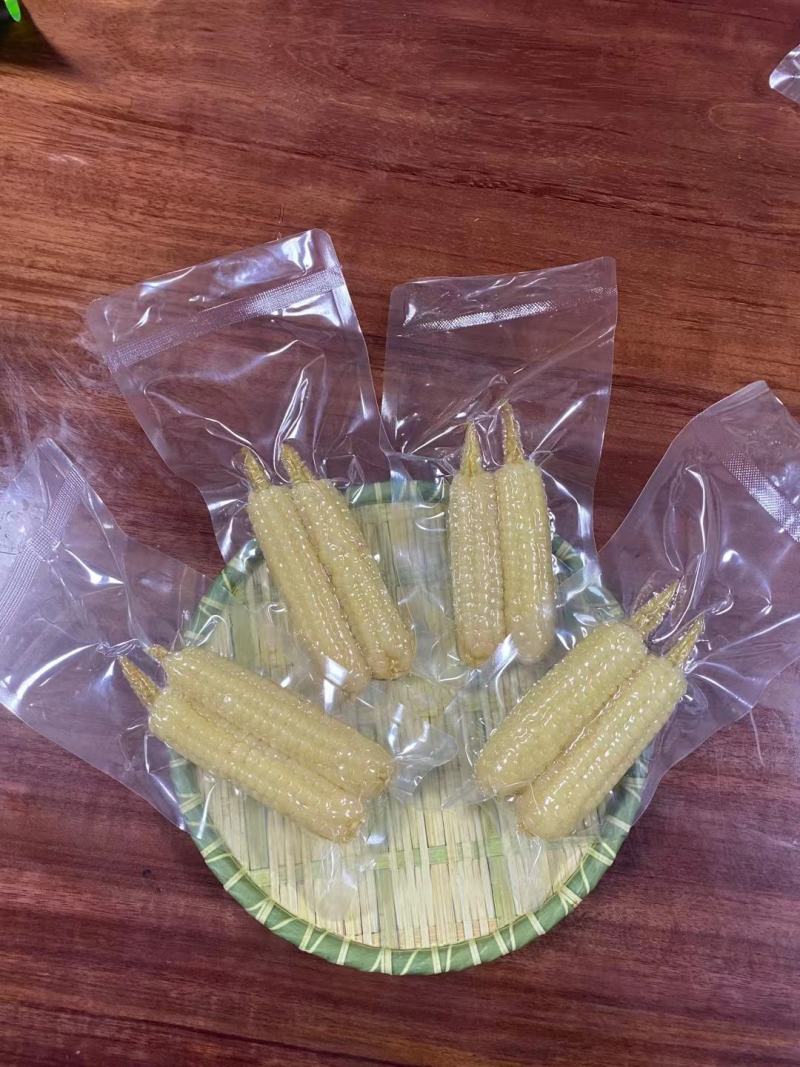 云西双版纳精品小拇指玉米，有新鲜带壳和真空包装，货源充足
