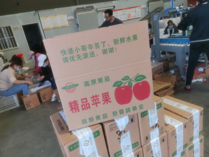 甘肃花牛苹果一件代发