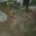 水果箩卜