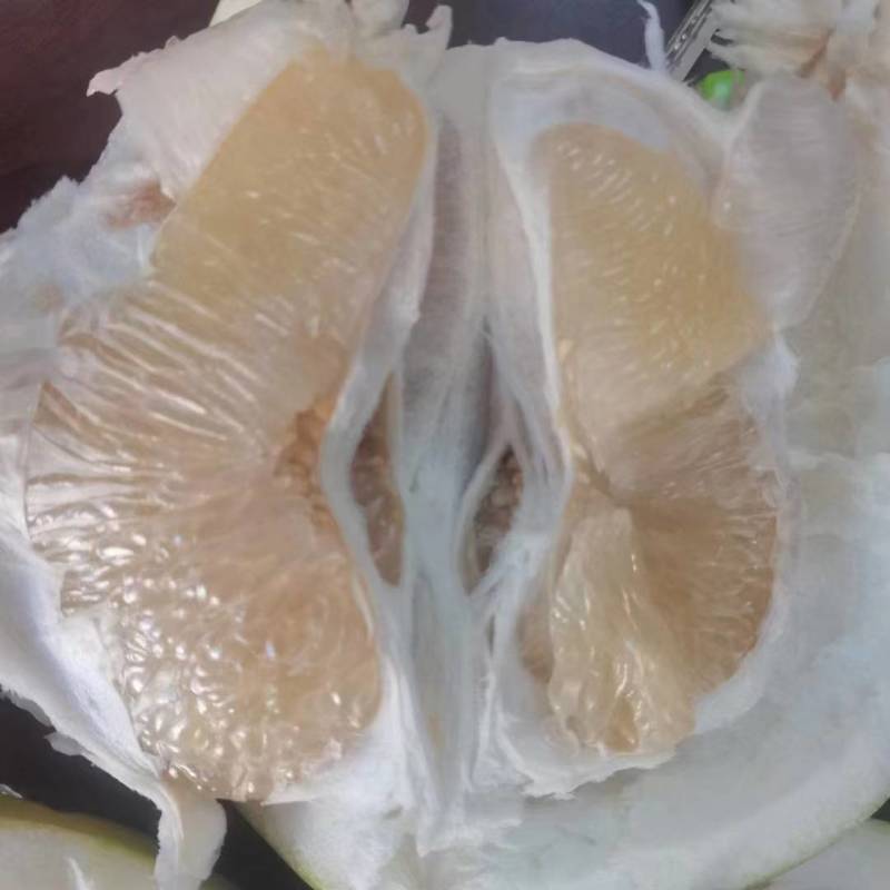 精品白柚红柚蜜柚皮薄多汁水分充足口感纯甜产地一手货源