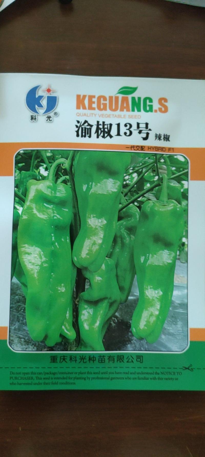 薄皮辣椒种子薄皮灯笼椒种子长灯笼椒种子苏椒种子渝椒13号
