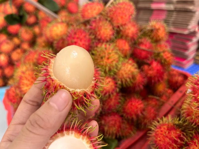 保亭7号红毛丹海南热带水果一件代发招代理