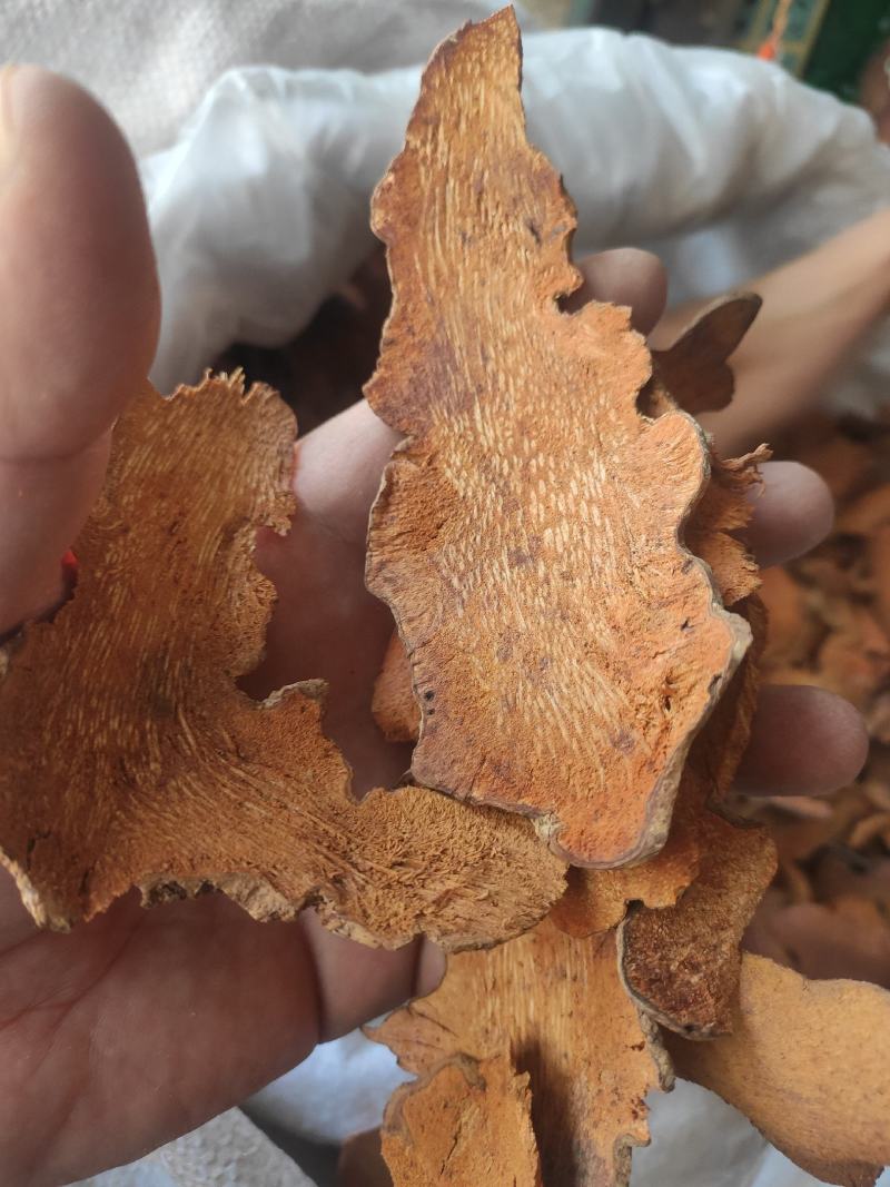 金刚藤冷背中药材干净无杂质量大从优欢迎选购