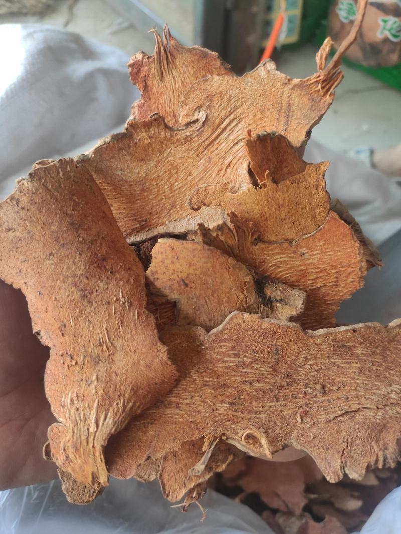 金刚藤冷背中药材干净无杂质量大从优欢迎选购