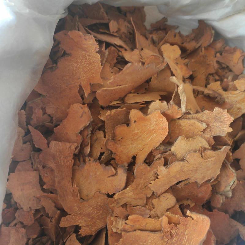 金刚藤冷背中药材干净无杂质量大从优欢迎选购