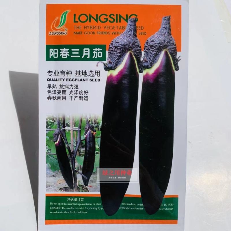三月茄种子春秋两用茄子种子育苗专用丰产果皮紫黑色长茄种