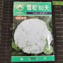 雪松80天松花菜种子中晚熟菜花种子洁白甜脆单球约3斤春秋