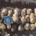 纯山旱地土豆适合储存薯型好个头大陇十、226、青九红皮土