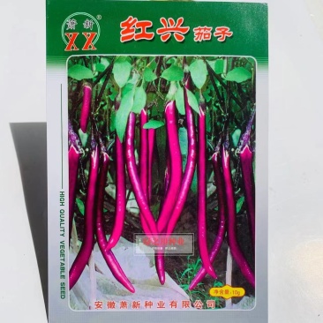 萧新红兴茄子种子线茄种子早熟抗病产量高茄子果皮紫红色