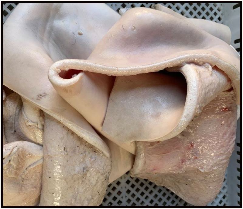 食用水退牛皮