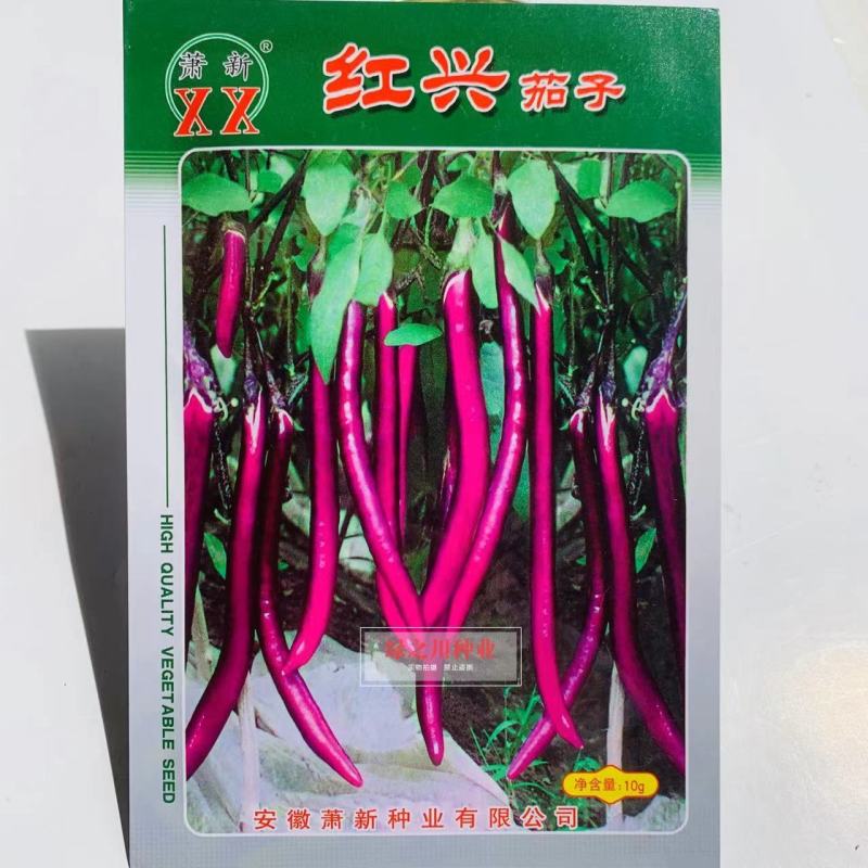 萧新红兴茄子种子线茄种子早熟抗病产量高茄子果皮紫红色