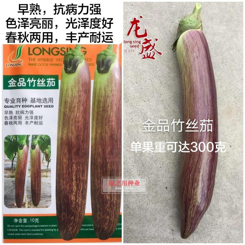 龙盛金品竹丝茄种子基地选用早熟春秋两用高产茄子种子