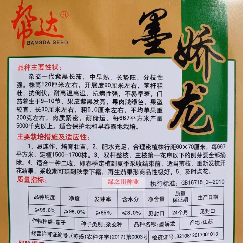 帮达墨娇龙紫黑长茄种子果皮紫黑发亮茄子种子耐高温高湿