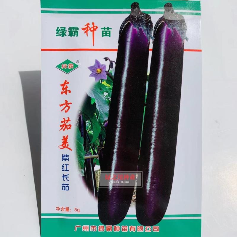 绿霸东方茄美紫红长茄种子耐热性好果皮深紫红色茄子种子